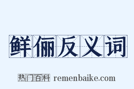 鲜俪反义词是什么意思的图片